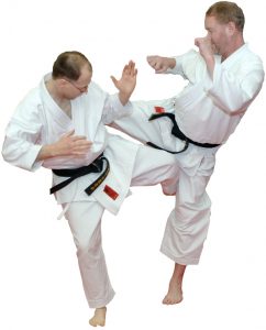 troy-david-leg-kick