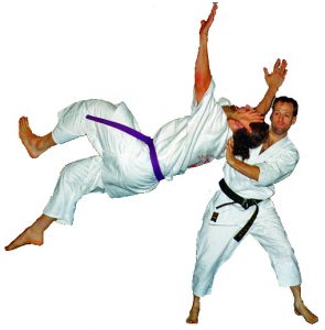 troy-price-nage-2a-copy